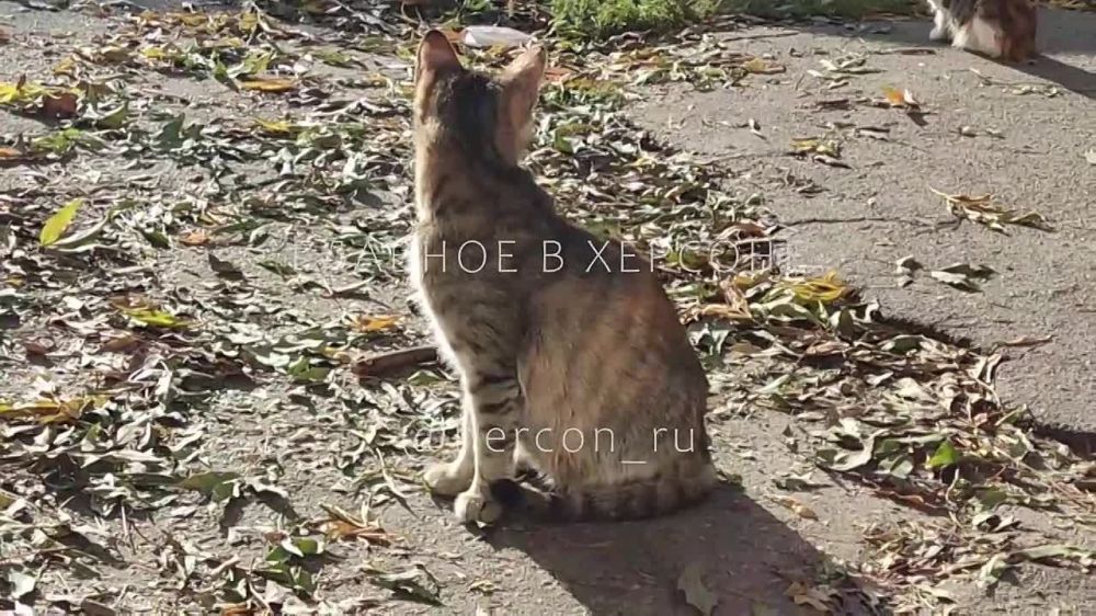 �������� ���������� ������� ��� � �����!