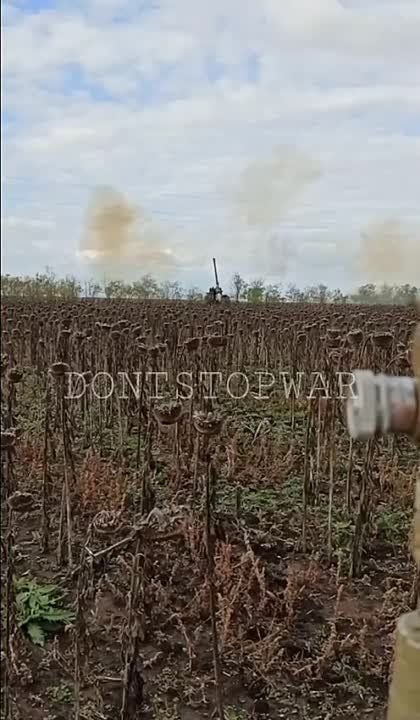 ������������ �����������