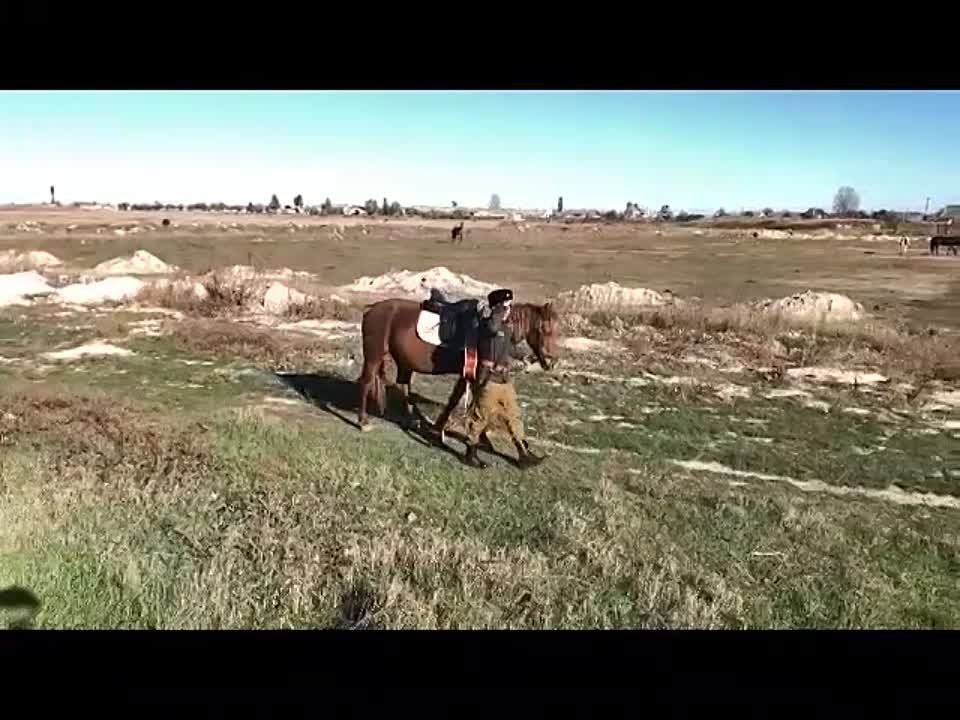 � �. �������� ������ ������ �������, ����������� ��� ��������� ��������