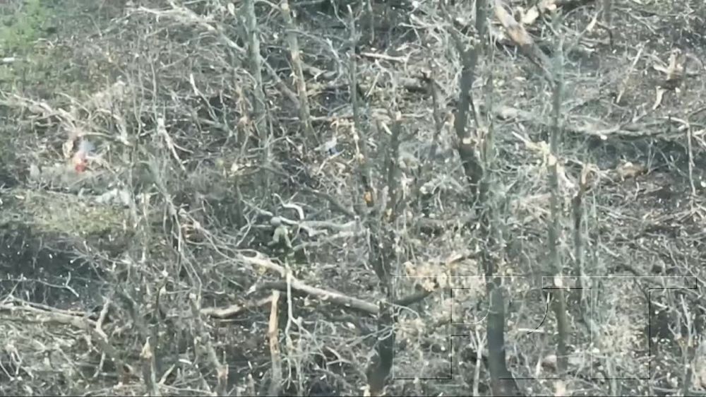 ��������� � ���������. ������� RT ������ ������� ����������, ��� ��������� ������ 11 ����� �������� ������� ��� ��������� �� ������� ������ ��� � � ���������� ��� ���������� �����. �������� ������� ��� �� ��������� 5 ������