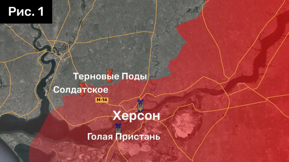 WarGonzo: ��������� ������ �� ���� 04.11.2022