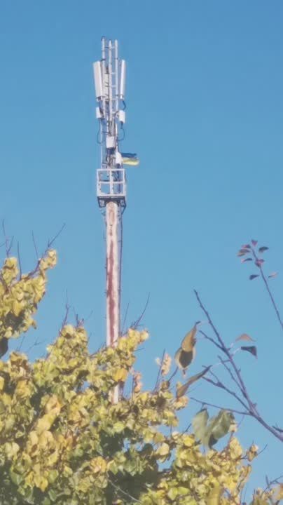 � �.������ �����������-������ ��� �������������� ���� �������� � ���������� ����� ������ ����� ������� ������