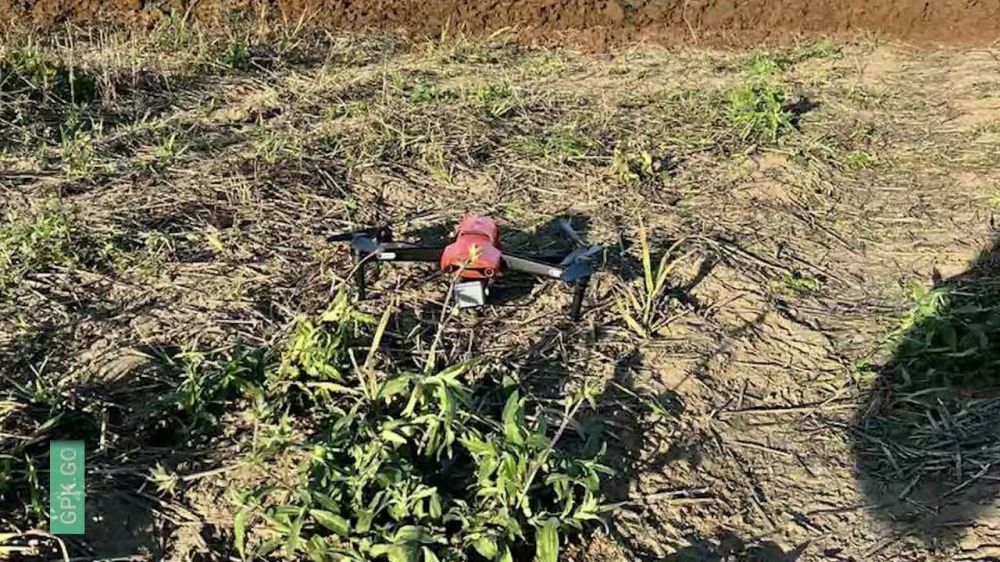 ����������� ����������� ����� 2 ������ ������� ������������, �������������� � ���������� �������