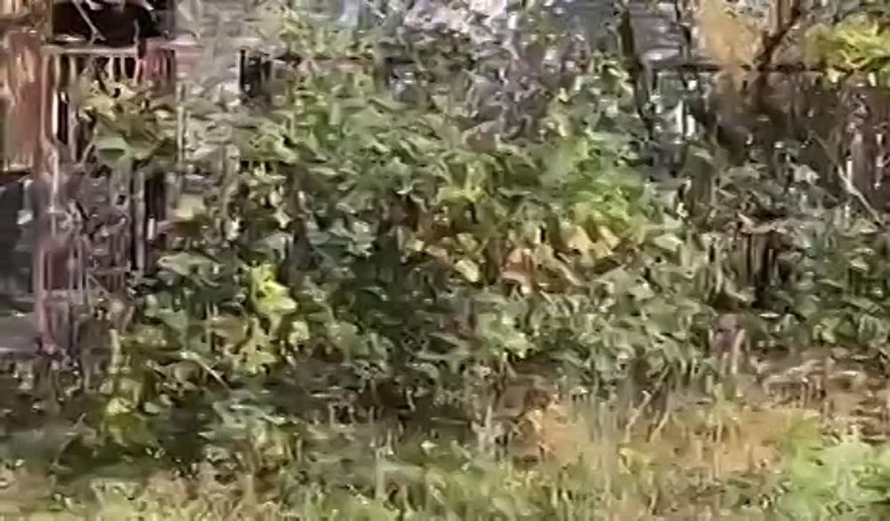 � ���������� ������� �������� ���������� ��������, ���������� � ������������� ������� �����