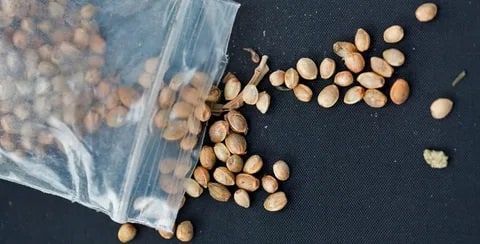 ������ ������������� ������ ����� ���, �������, ����� � ������ �������