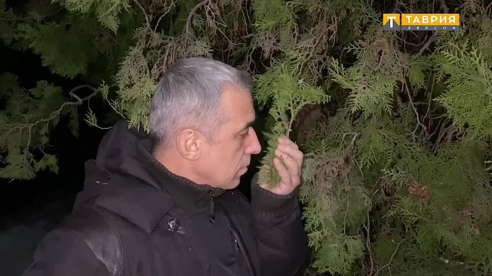 �������� ��� �������� ���� ���������� ������� ���� �� ������������