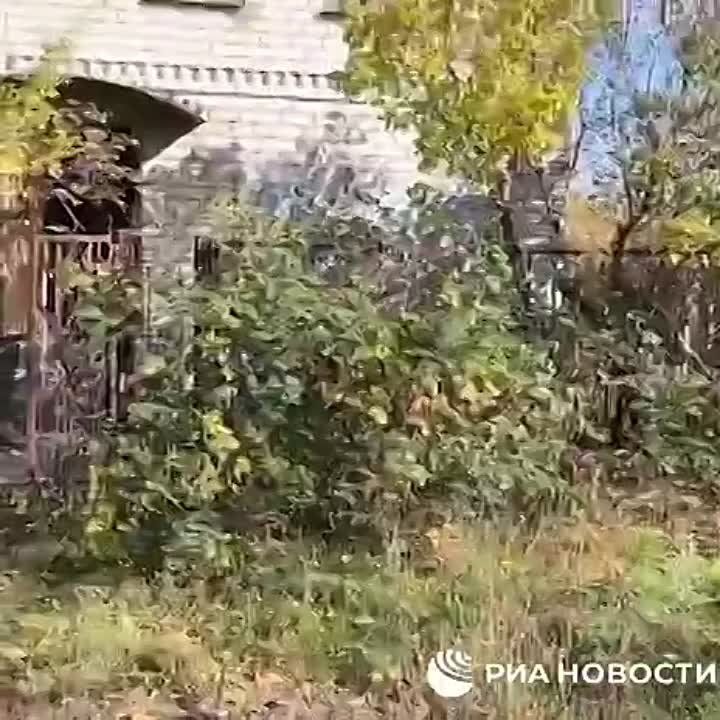 �������� ��������� � ������� ���������� ������� ���������, ������� ��������� ���������� ������� �������� � ���������� � ������������ ���������� ������������� � ����������� ������������� ���������