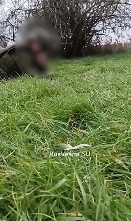 ��� ������� ����� �������� ��� �� ���������� ������