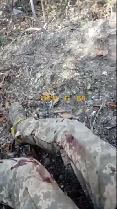 ����� ������, � ����� ��� �������� �� ����������