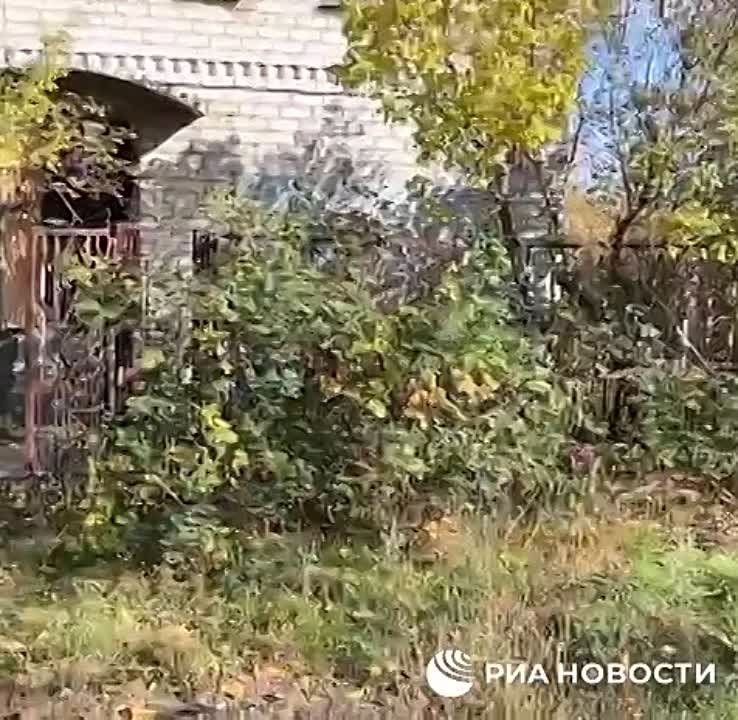 � ������� ��������� ��������� ���