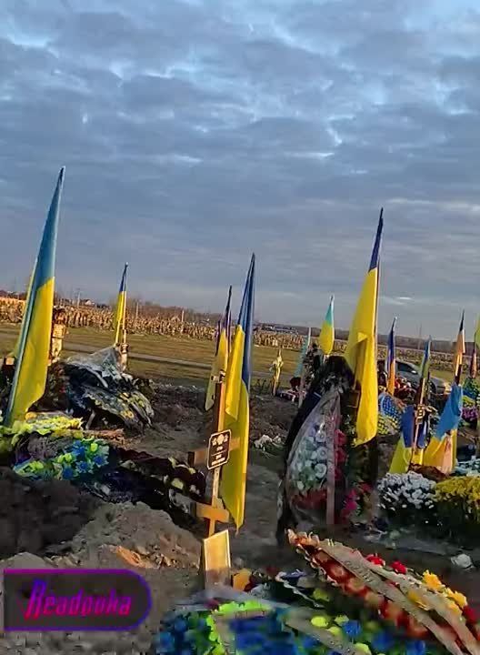 ��������� ����� � ������ �� �������� ������� �� ������� � �������� ����������� ���������� ��� ������ � ������