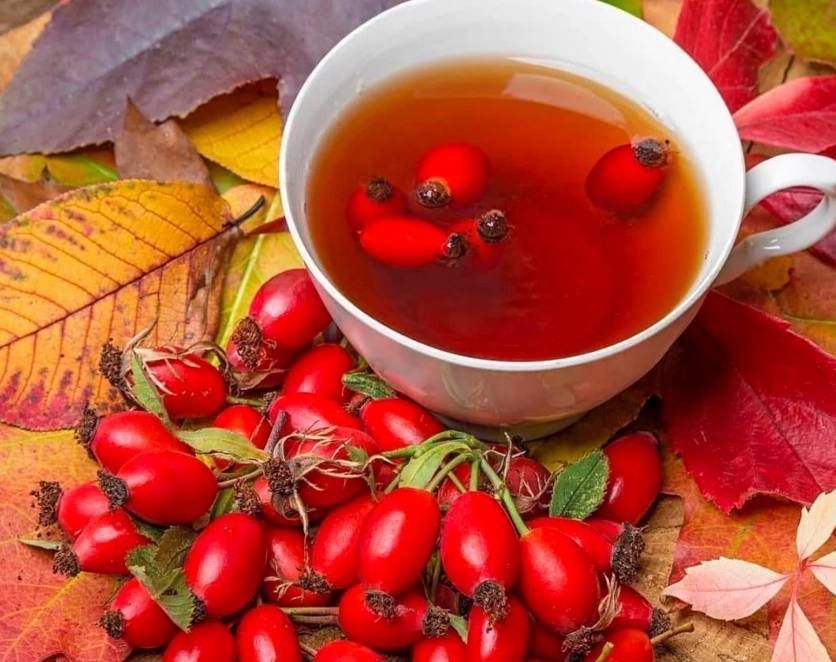 ������� ������ ����������