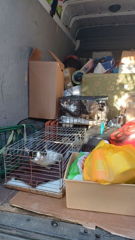 ����� ���������: �� ������� ������� ������� � ������: