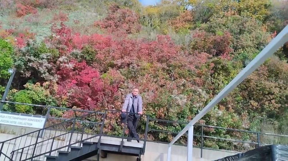 ��������� ������� ��������� ������ �� ������