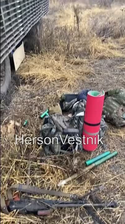 ����������� ���� ������� �������� ��� ���� ���������� Mastiff � ���������� �������