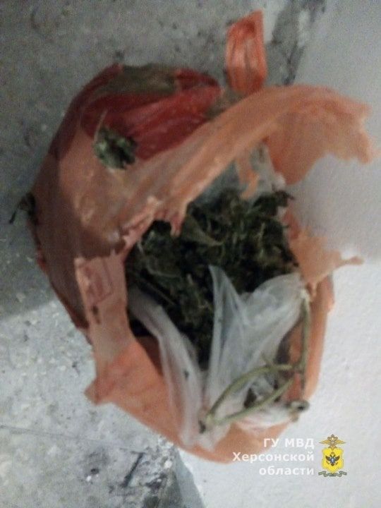 � ������������ ������������� ������ ����������� � ��������� ���������� ����� ��������� � �������