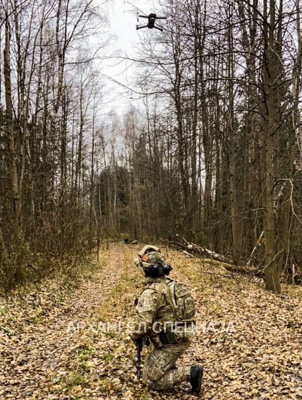 ���������� �� ������������ �����������: