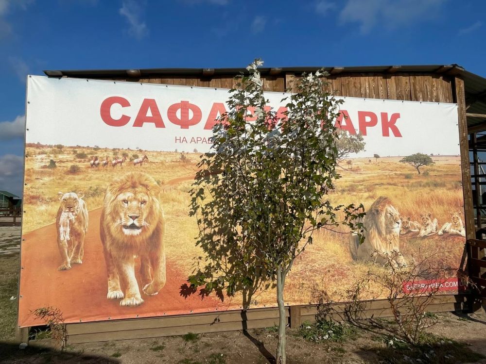 ������������ ����� � ���������� �������� ���������� ������� �������� ������� ����� ����������