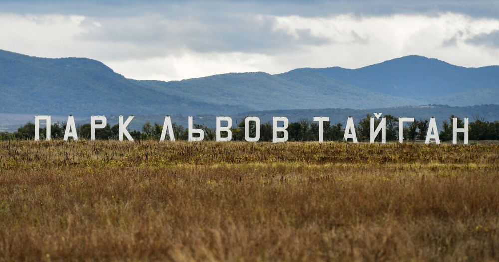 �������� �� ��������� ������� ������������ � ����