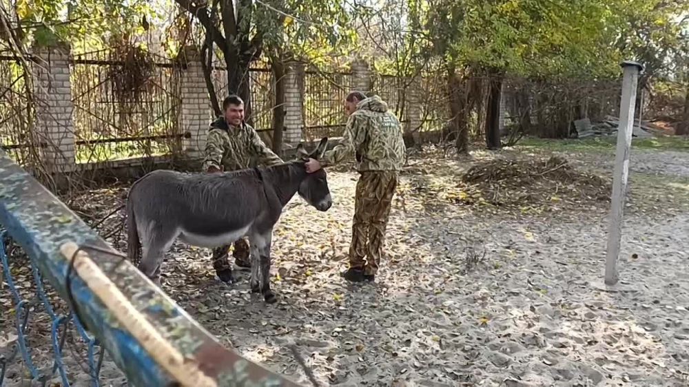 ����� ���������: ����� ����� ��������� ����������� �.�. ��������