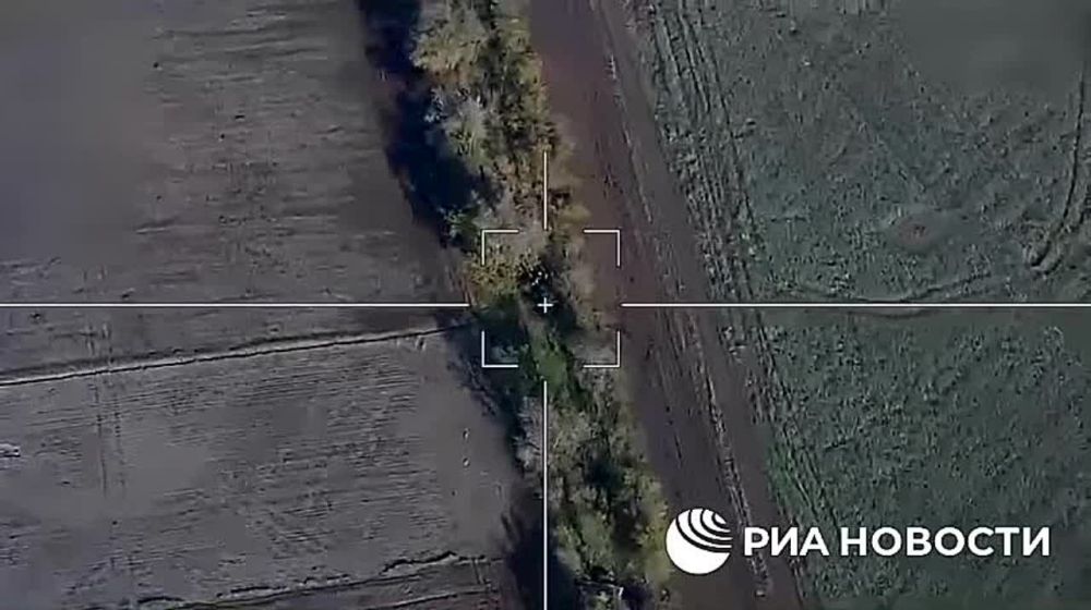 ���� ������� ��������� ���������� ��� �� ���������-������������ �����������