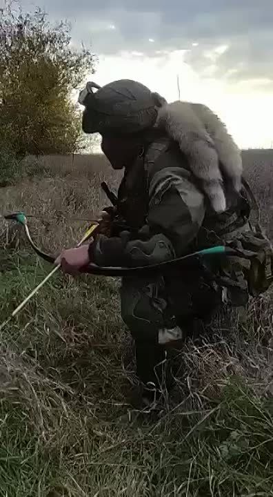 ���������� ��������������� ����� ������ �� �������� �������� � ���������� �������