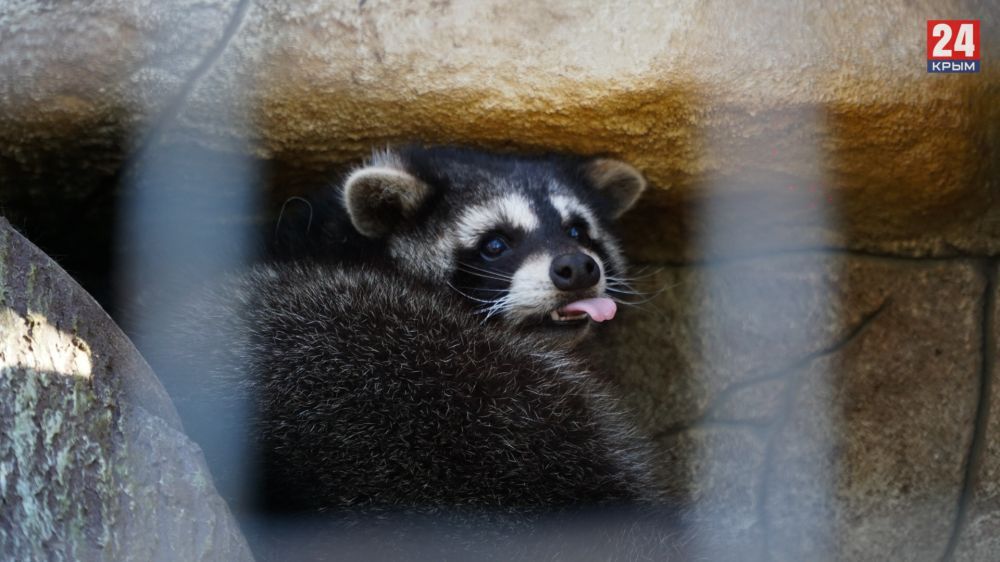 �������� �� ��������� ������� �� ����� ��������� � ����