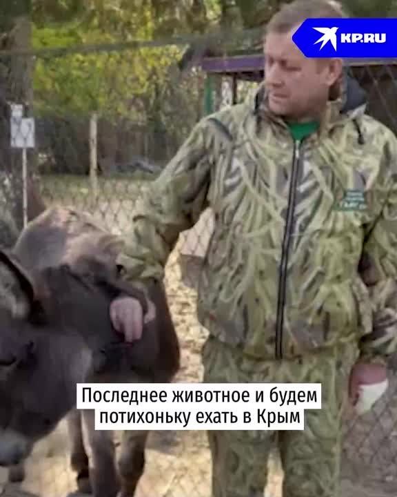 ��������� �������� �������