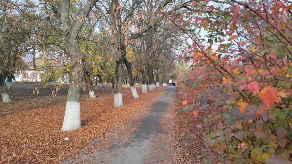 ��������� ������������ �� ����������� ���� � ���� ����! ������ ������������� �������� ����������, ��������� ��������, ������� ���������, ����� � ���� � ����! ����� ����� �������� �����������, ���, ����� � �������������