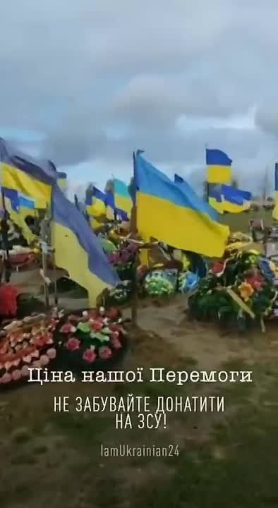 ��������� ��������� �� �������� � ���� ������ � �������� �� ���