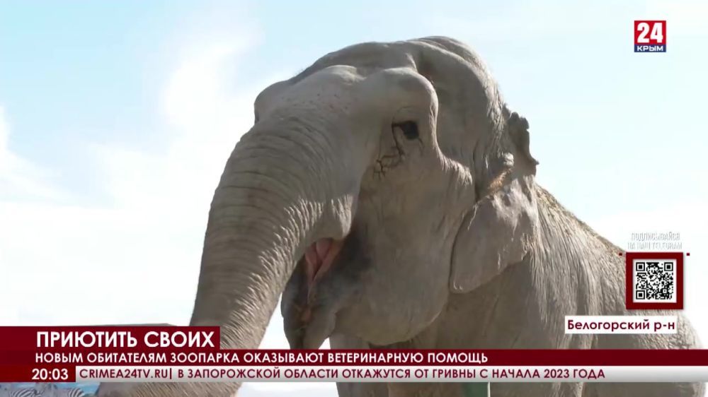 � �������� ������� ������������ �������� �� ���������� �������