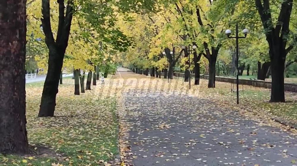 ������ � ������� � ����� �������� ������ ��������� �������� ��������