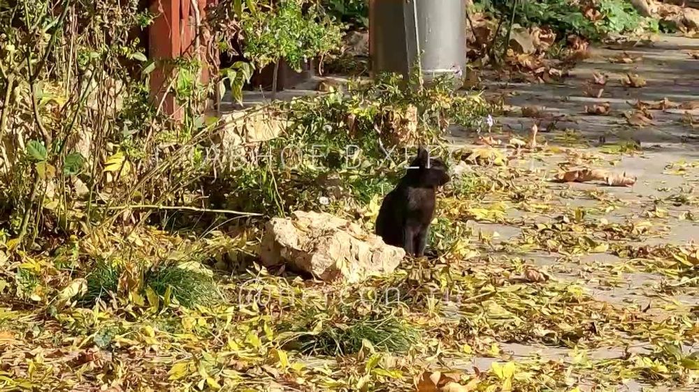 �������� ��������� ����� � �������� �� �����!