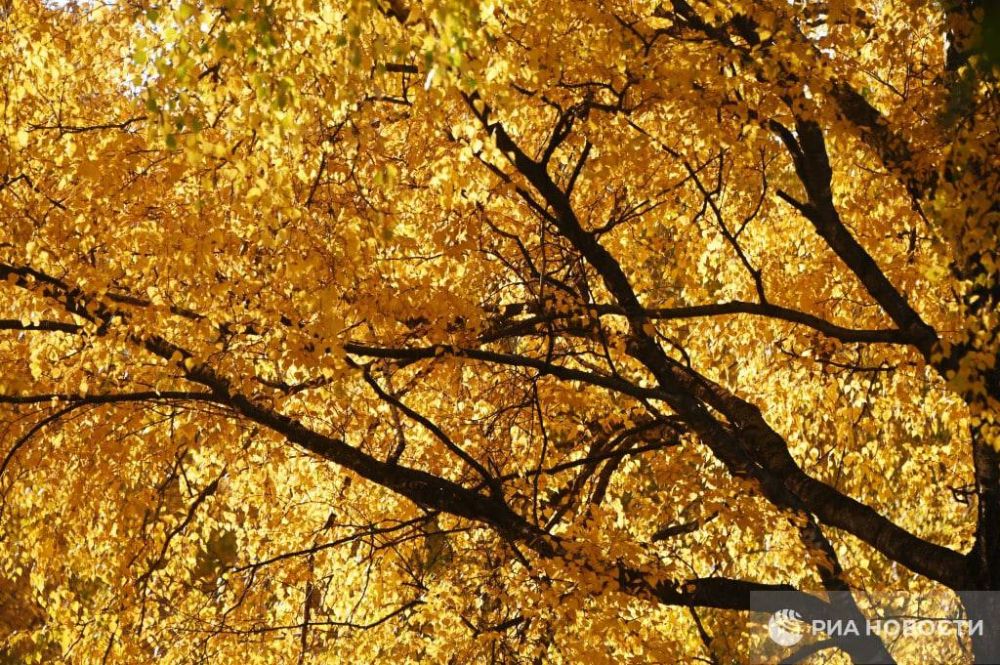 ������ �� ����� ����������� ������