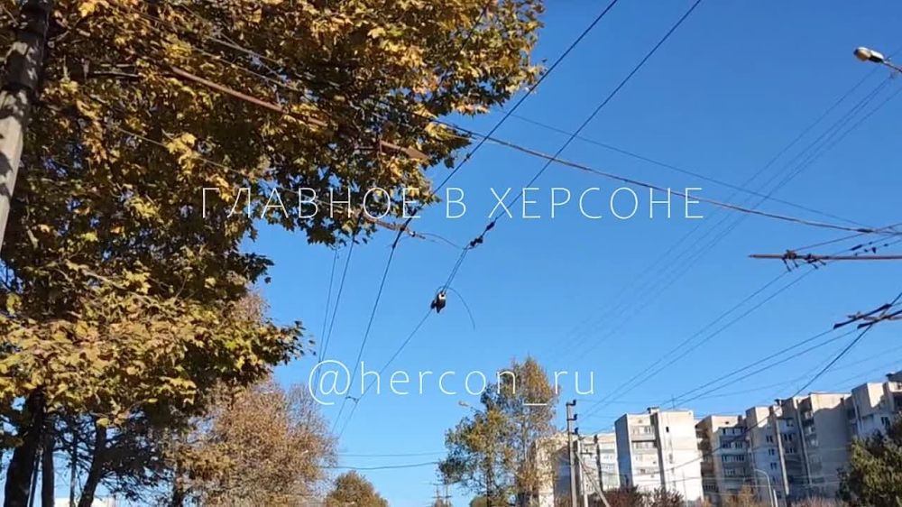 � ������� ��������� ������� ������� � ��������� ������ ��������� �����������