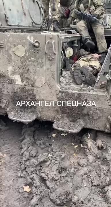 � ��� � ������ ���������� ����������� "�������" �� ������