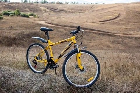 ���������� ������� ������������� �������������� ������ ��������� ������������� ����