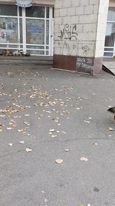 ����� ���������: ������� �� �������. ����� ���� ��������� ������������� �������� �� ������ � ����� ��������. �...