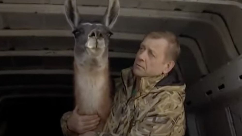 ���� ���� ������� � ���������: �������� ��������� ����� �������� ������� 18 ��������, �������������� �� �������