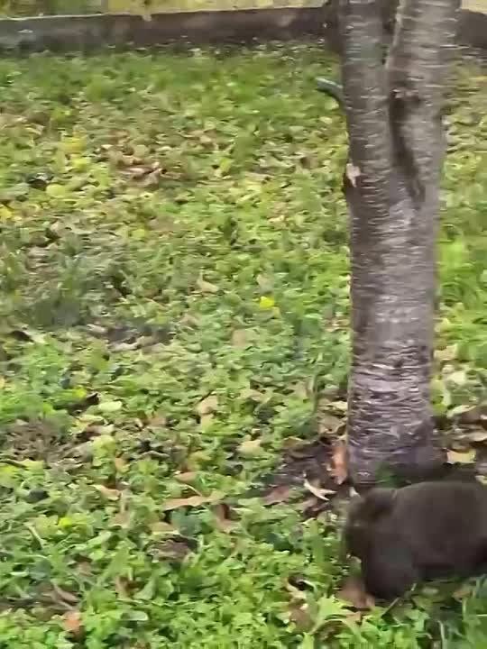 ����� �� ������� � 23 �������� ������������ � ���������� � ��� ������������ �������������� ��������� ������ ������������� ����� �� ���� ������