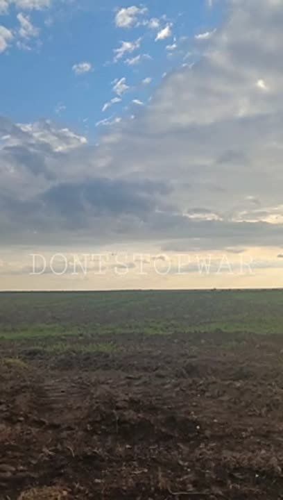 ���� �������� �������� �� ������