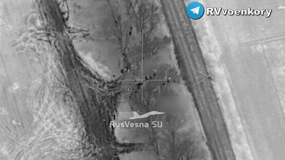 ����� ������� ���������� �� �������� ���������� �������� ������������ "��������"