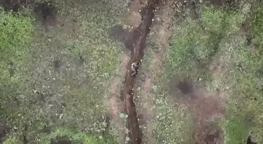 ���������� ������ ������ ������ ����������� ������� � ����� ����� ������� ������ � ����