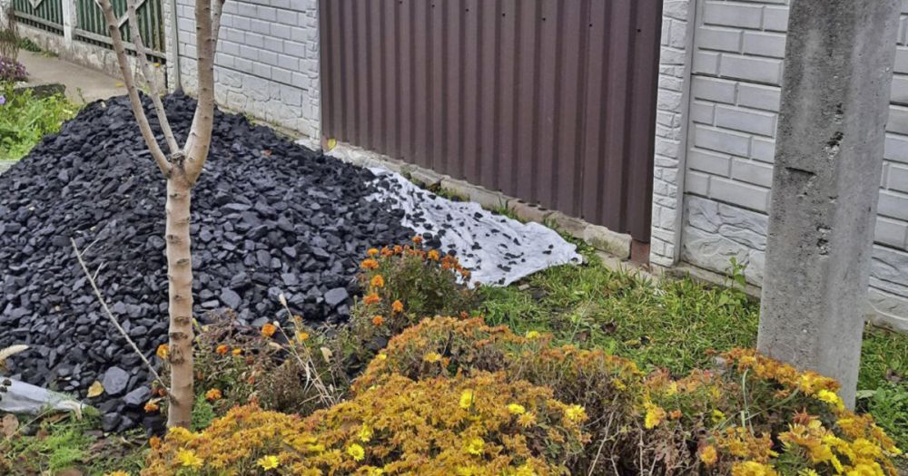 � ������������� ������ ������ ����������� �������� �����