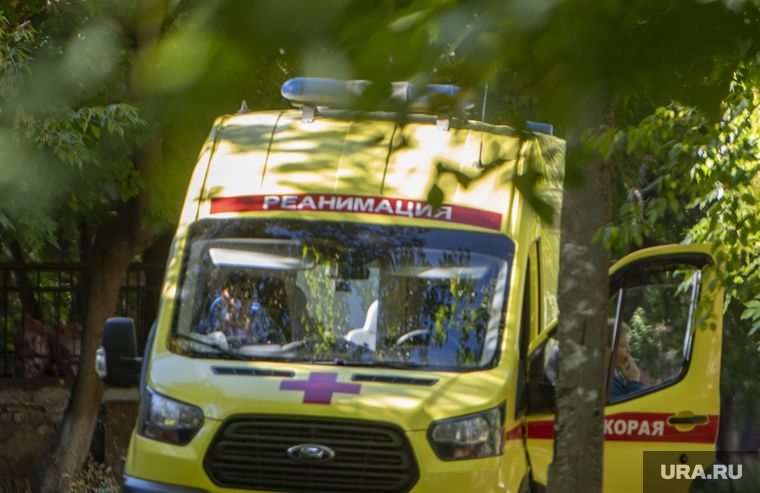 � ��������� ���������� ������� ����������� ���������� � ��� � �������� �����������