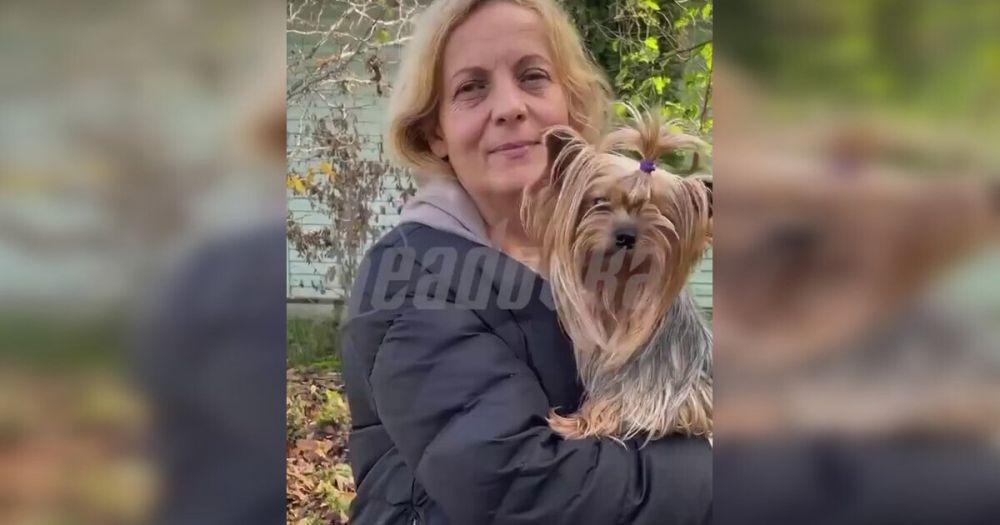 ����� � 23 ��������, �������������� �� �������, ���������� � ����������