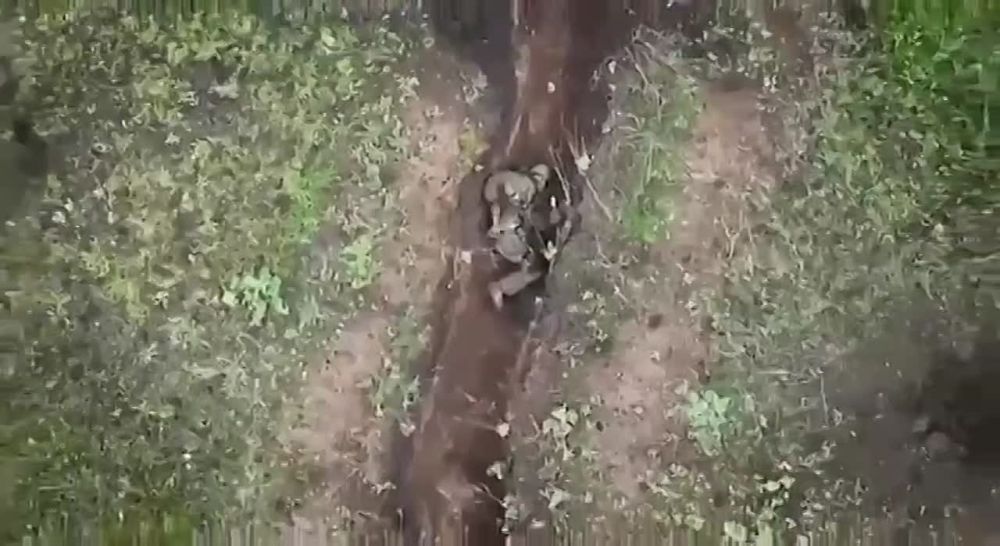 ����� �������� ��� �������� �����, ������� ������������ ���������� �� ���� ���������� �������