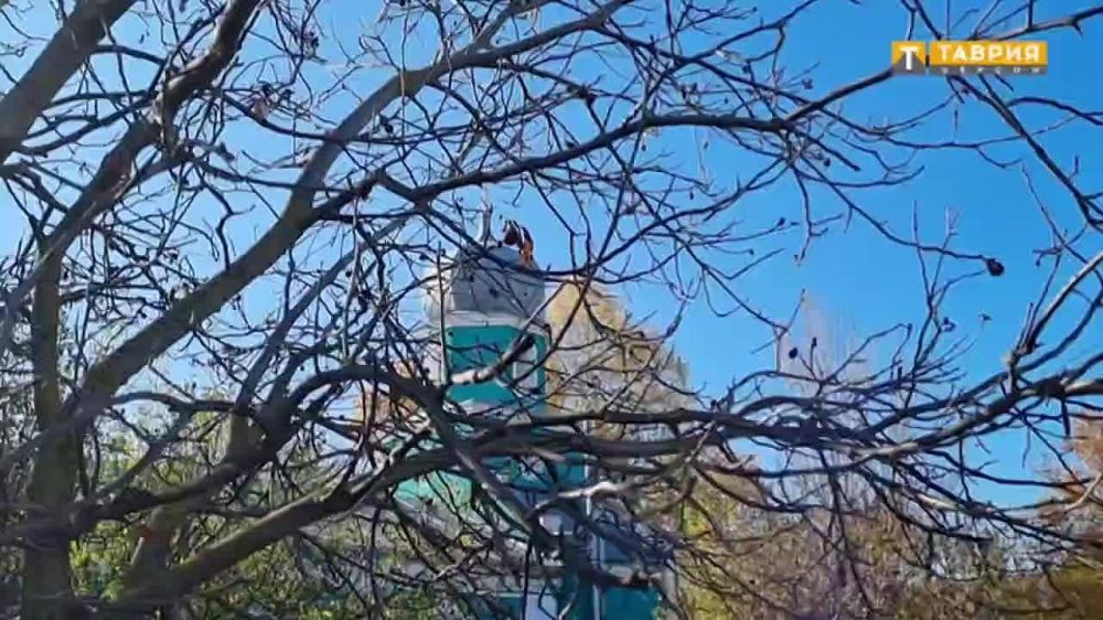 ������������ ��������� ��������� �� 15�� ���� �� ������ ������ ������ � ���������� �������