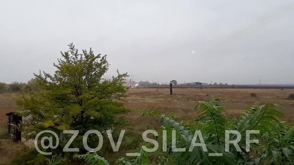 #��������. ������ ���� ���� �� ���������� �����������