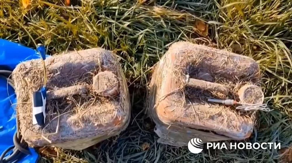 ������� ������ �� ���������� ������ ������������ � ���������